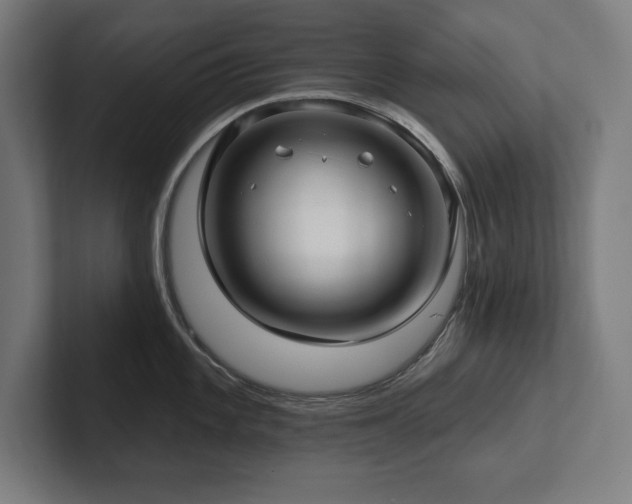 X0000102411101200808011602