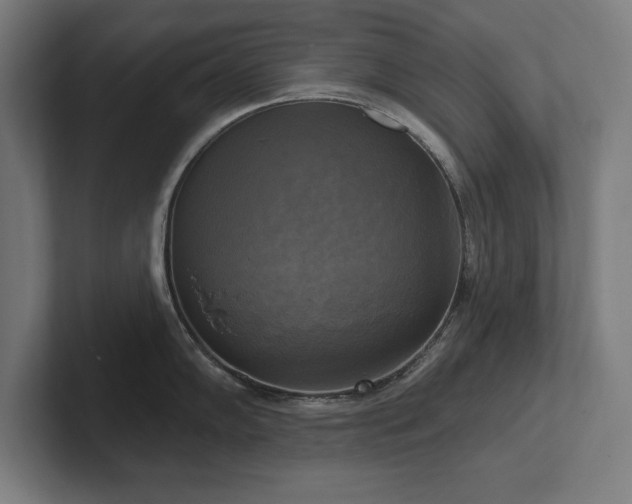 X0000102411102200808011602