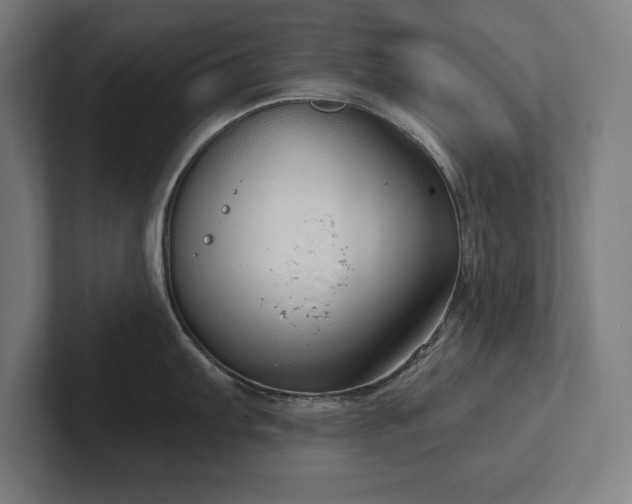 X0000102411103200808011602