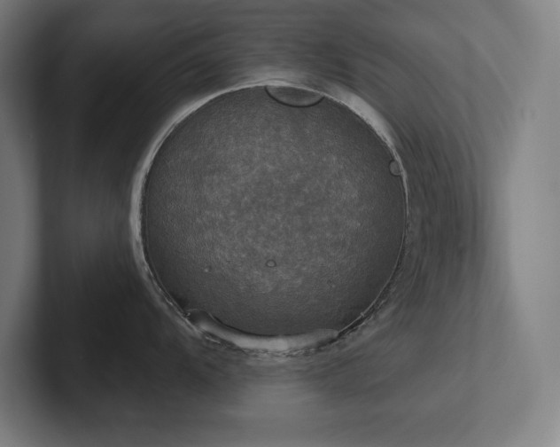 X0000102411104200808011602