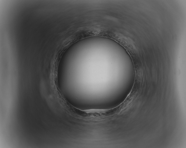 X0000102411105200808011601