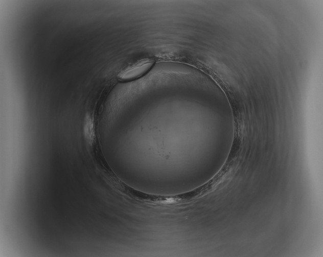 X0000102411106200808011601
