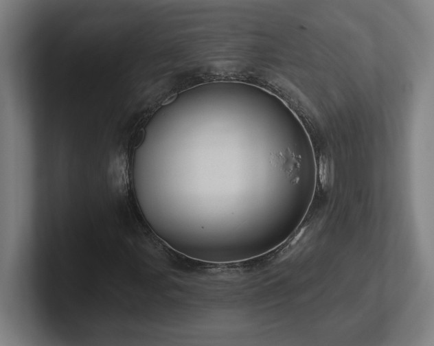 X0000102411107200808011601