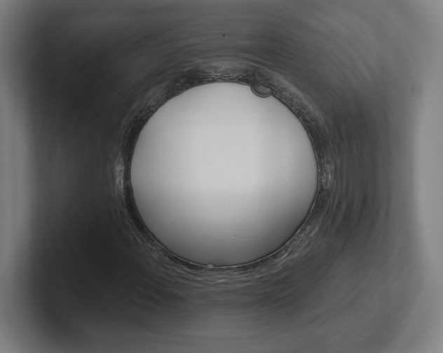 X0000102411108200808011601