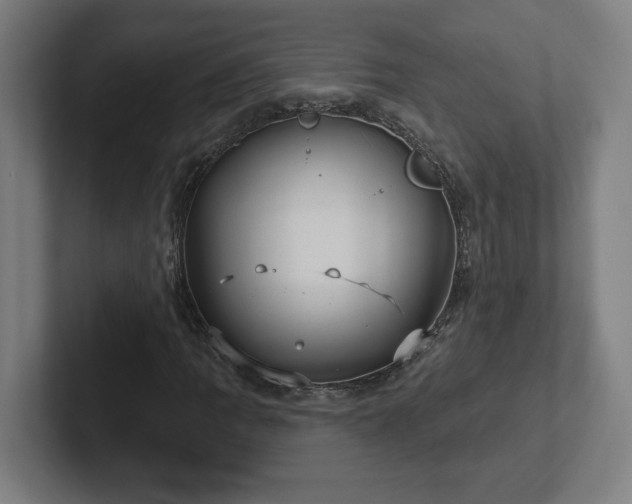 X0000102411109200808011601