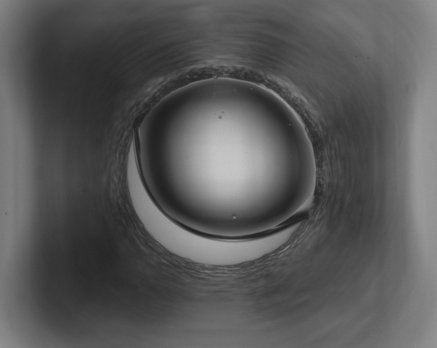 X0000102411110200808011601