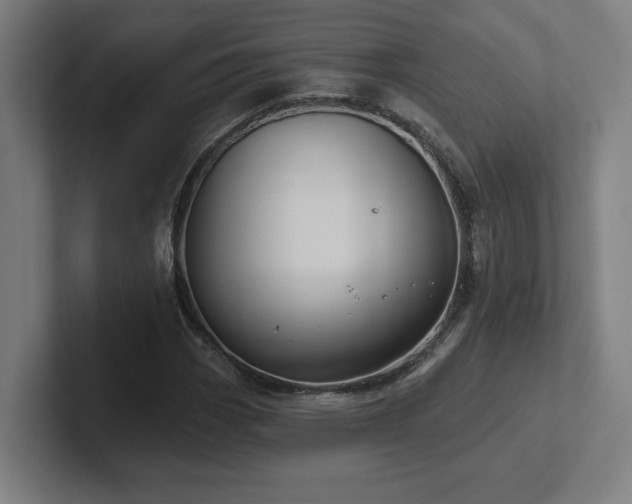 X0000102411113200808011601