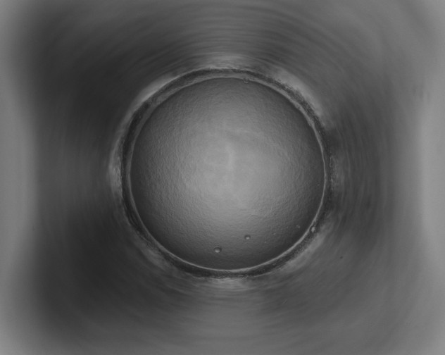 X0000102411114200808011601