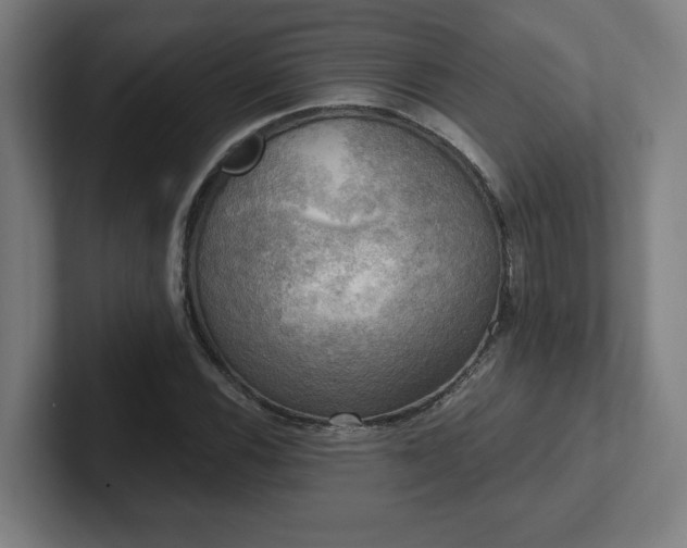 X0000102411116200808011601