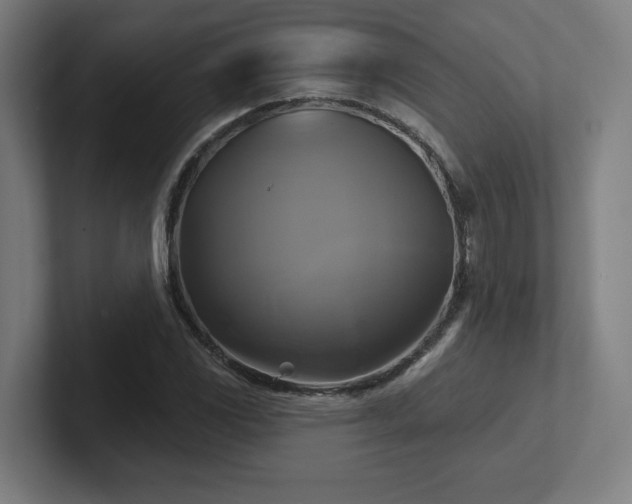 X0000102411117200808011601
