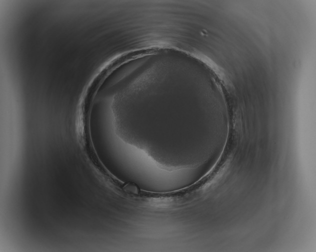 X0000102411118200808011601