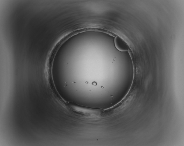 X0000102411119200808011601
