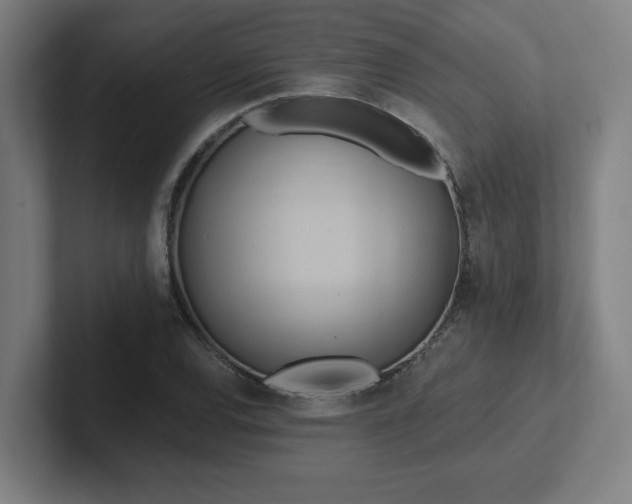 X0000102411120200808011601