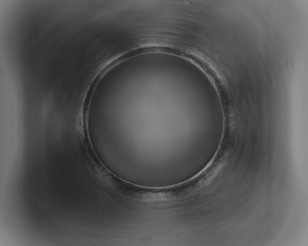 X0000102411121200808011601