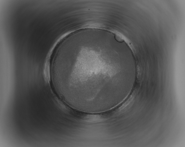X0000102411123200808011601