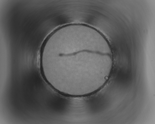 X0000102411126200808011601