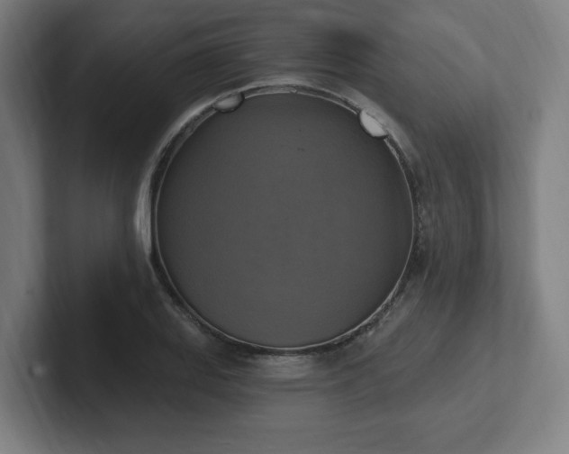 X0000102411127200808011601