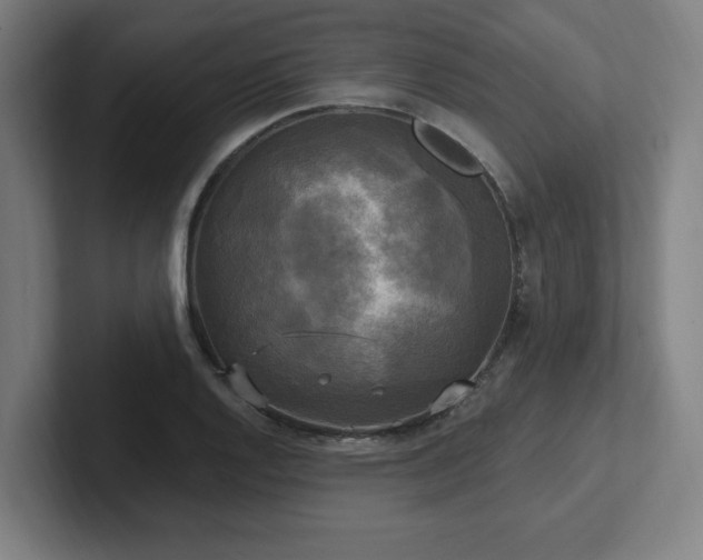 X0000102411128200808011601