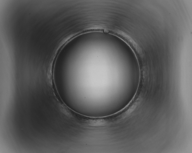 X0000102411129200808011602