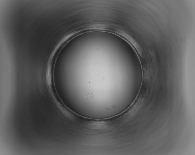 X0000102411131200808011602