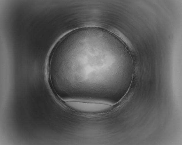 X0000102411132200808011602