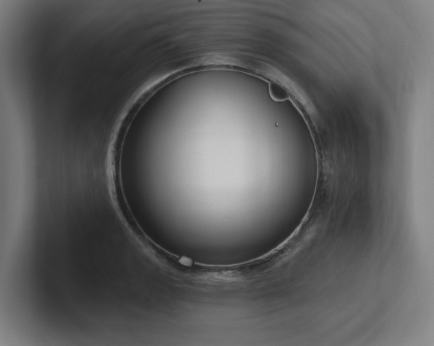 X0000102411133200808011602