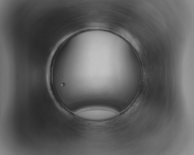 X0000102411136200808011602