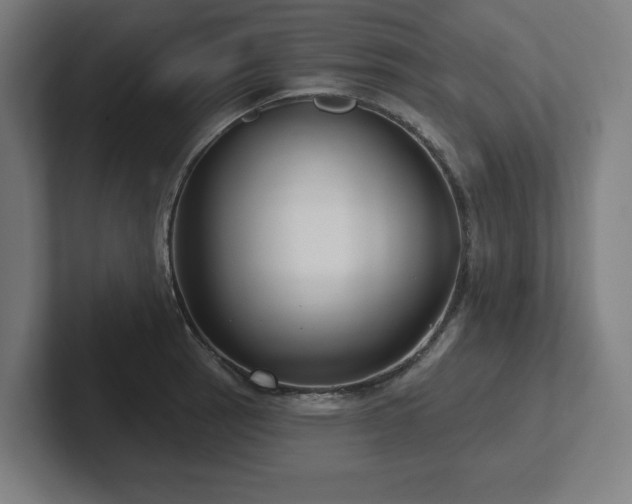 X0000102411137200808011602