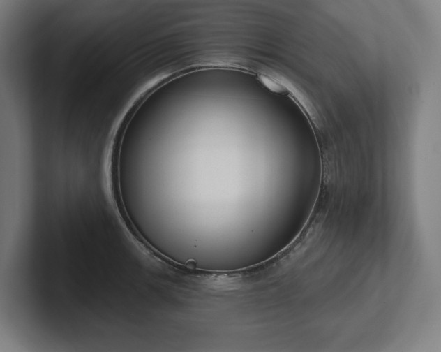 X0000102411139200808011602