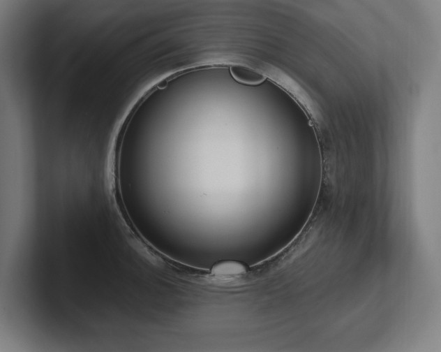 X0000102411140200808011602