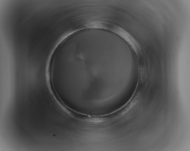 X0000102411141200808011602