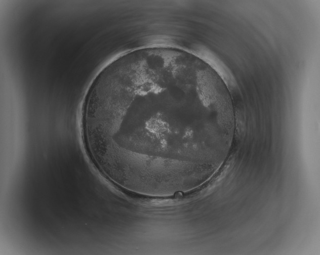 X0000102411142200808011602