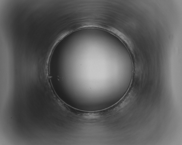X0000102411145200808011602