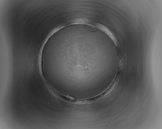 X0000102411146200808011602