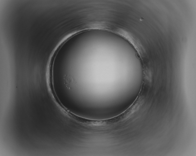 X0000102411147200808011602