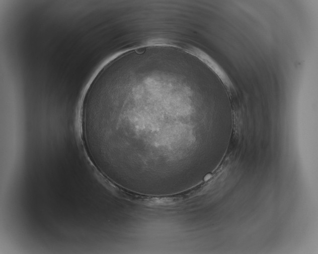 X0000102411148200808011602