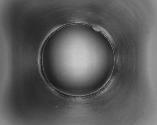 X0000102411149200808011602