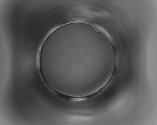 X0000102411151200808011602