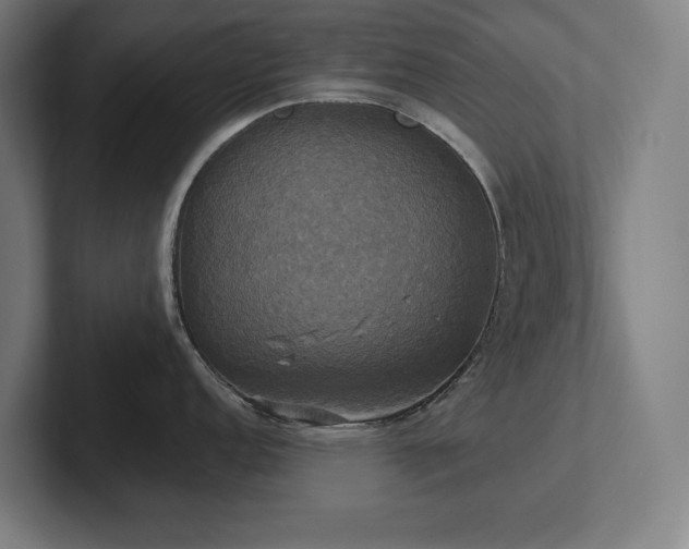 X0000102411152200808011602