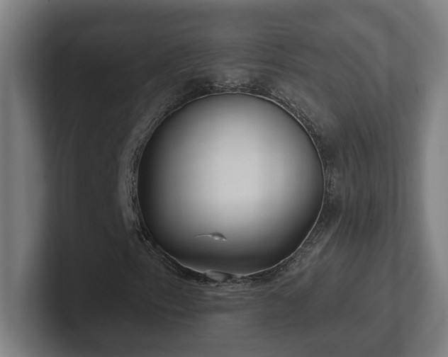 X0000102411153200808011601