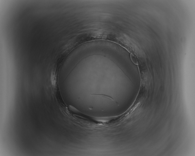X0000102411154200808011601