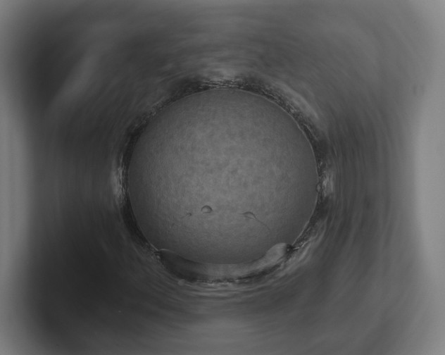 X0000102411156200808011601