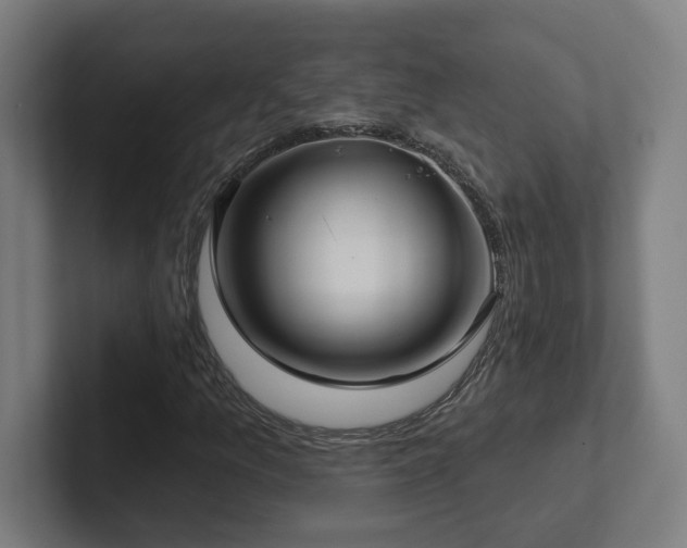 X0000102411157200808011601