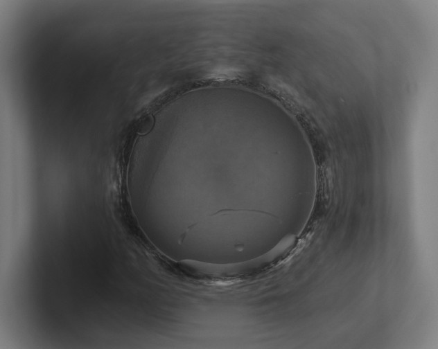 X0000102411158200808011601