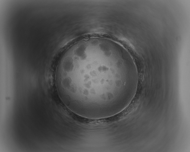 X0000102411159200808011601