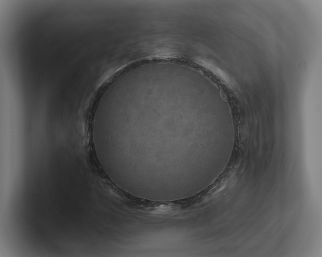 X0000102411160200808011601