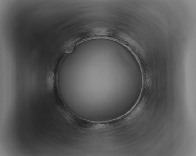 X0000102411161200808011601