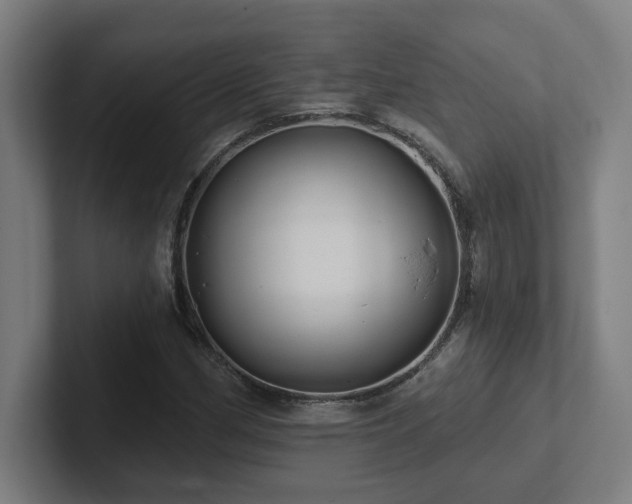 X0000102411162200808011601