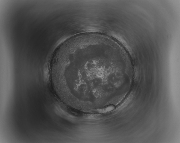 X0000102411163200808011601