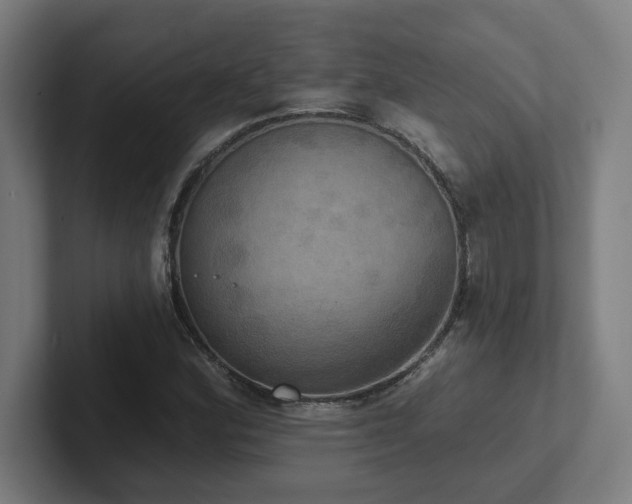 X0000102411164200808011601